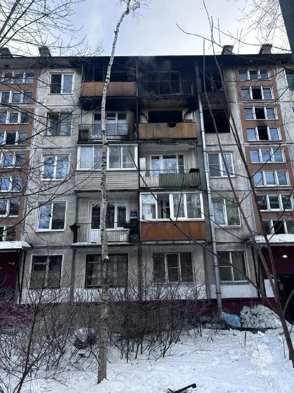    Фото: МЧС по Петербургу