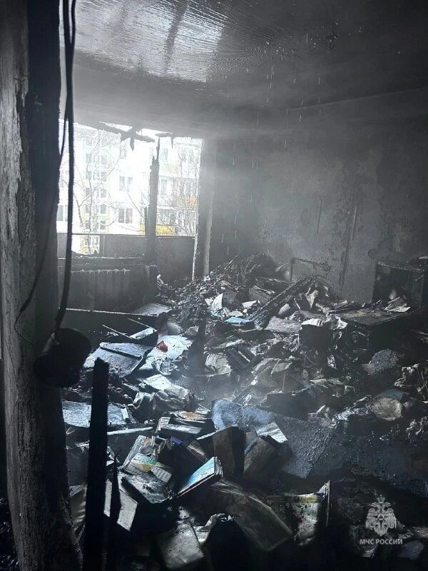    Фото: МЧС по Петербургу