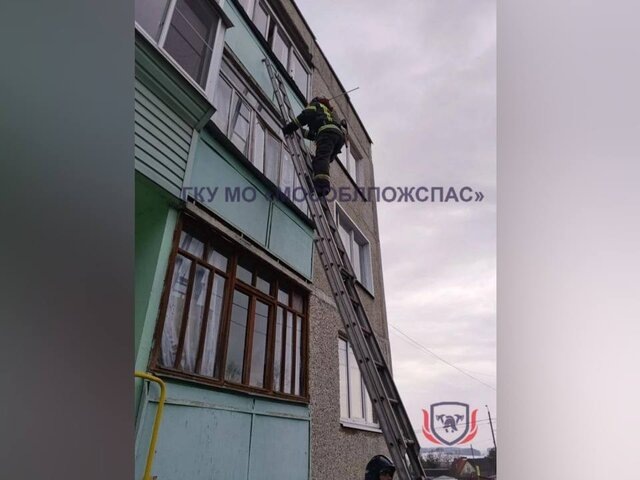    Фото: телеграм-канал "ГКУ МО "Мособлпожспас"