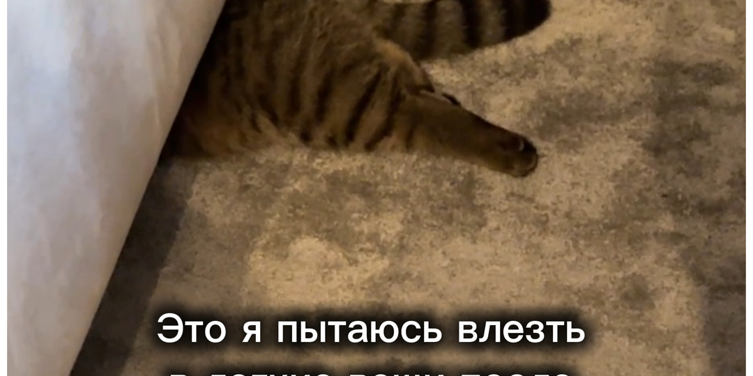 Их явно кто-то ушивает зимой😅