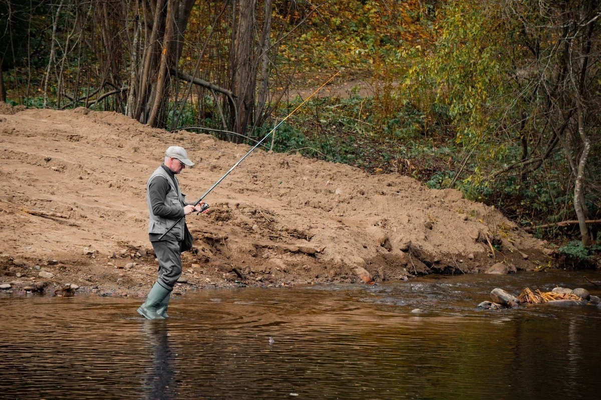    Фото: «Республика» / Оксана Кудряшова