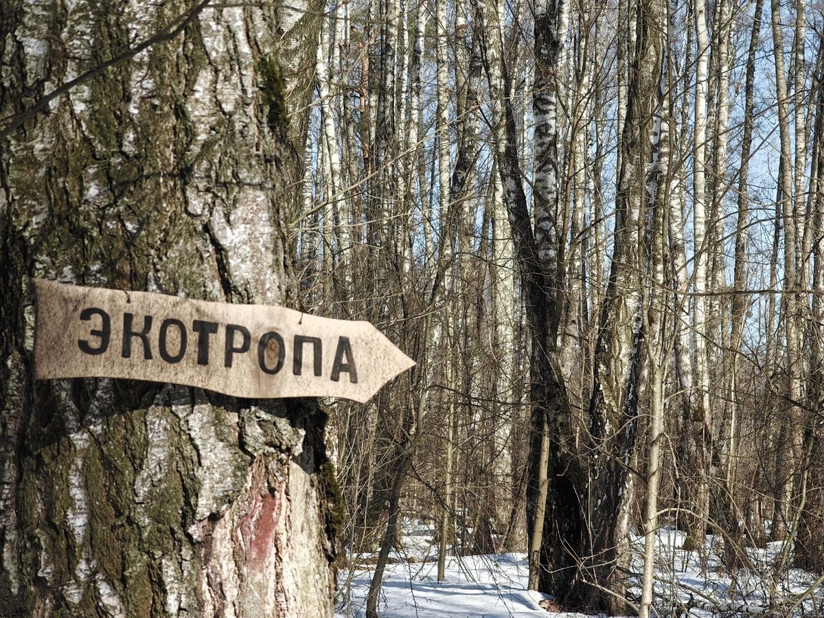 Экотропа в лесопарке «Гальчино» в Домодедово. Фото автора.