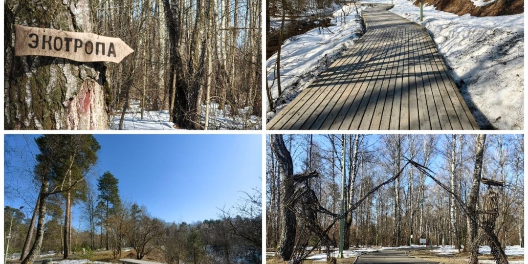 Гулять полезно: лесопарк «Гальчино» в моём Домодедово