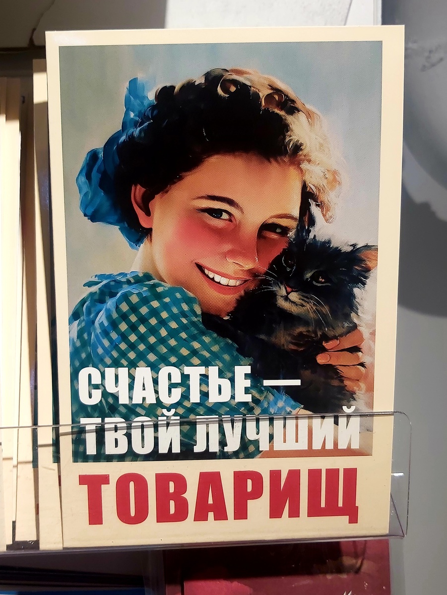 Открытка в книжном, очень душевная)