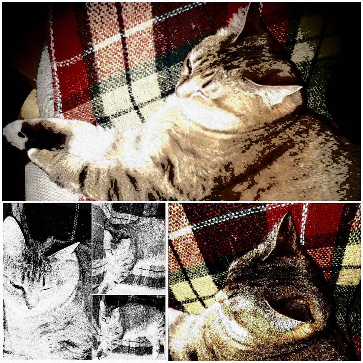 Коллаж автора 04.04.2026г.