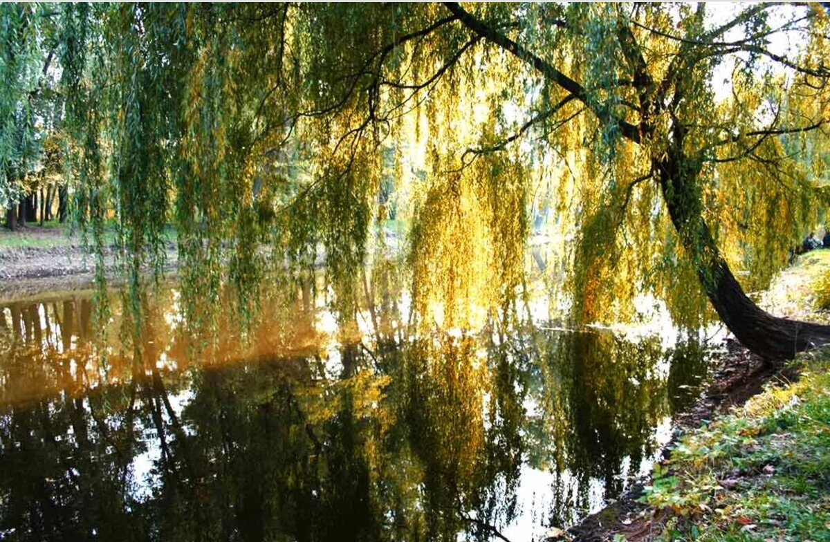 Изображение из открытых источников