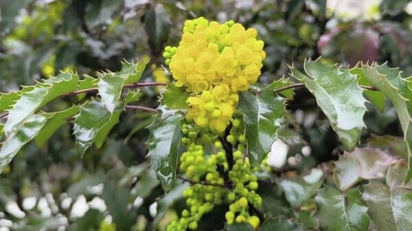    © РИА Новости Крым