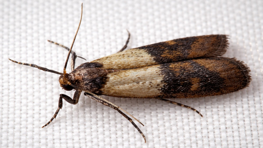    Изображение сгенерировано нейросетью