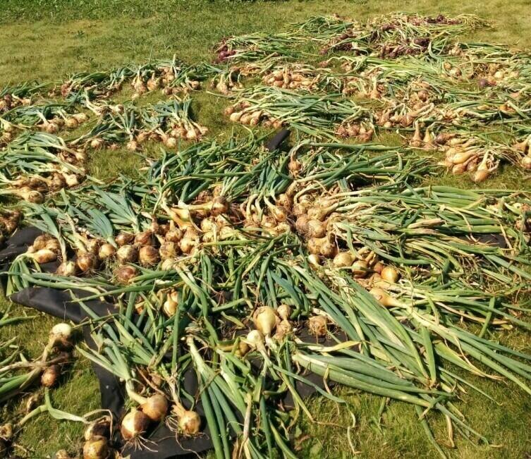    Фото: Анна Кудрина, личный архив