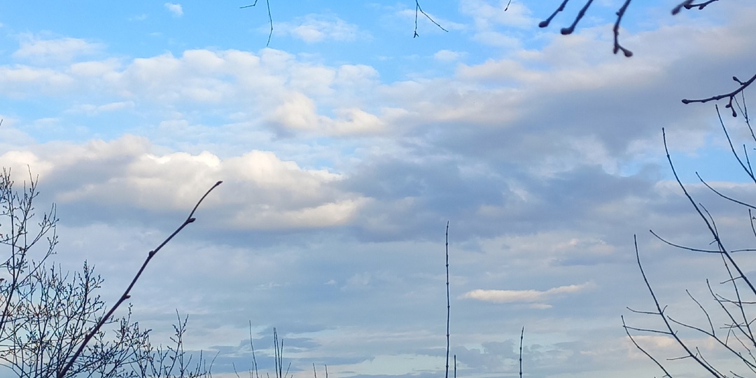 04.04.2026. Весенний день у Волги: история одного побега)