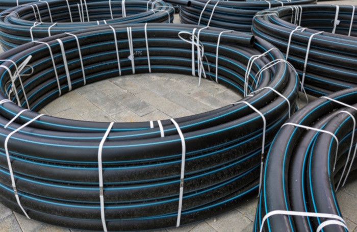    © Вячеслав Палес / Фотобанк Лори