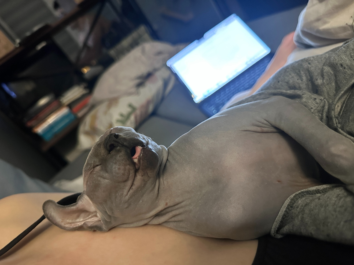 Уснуть на руках в таком виде, что рука не повернется будить - готово! :)