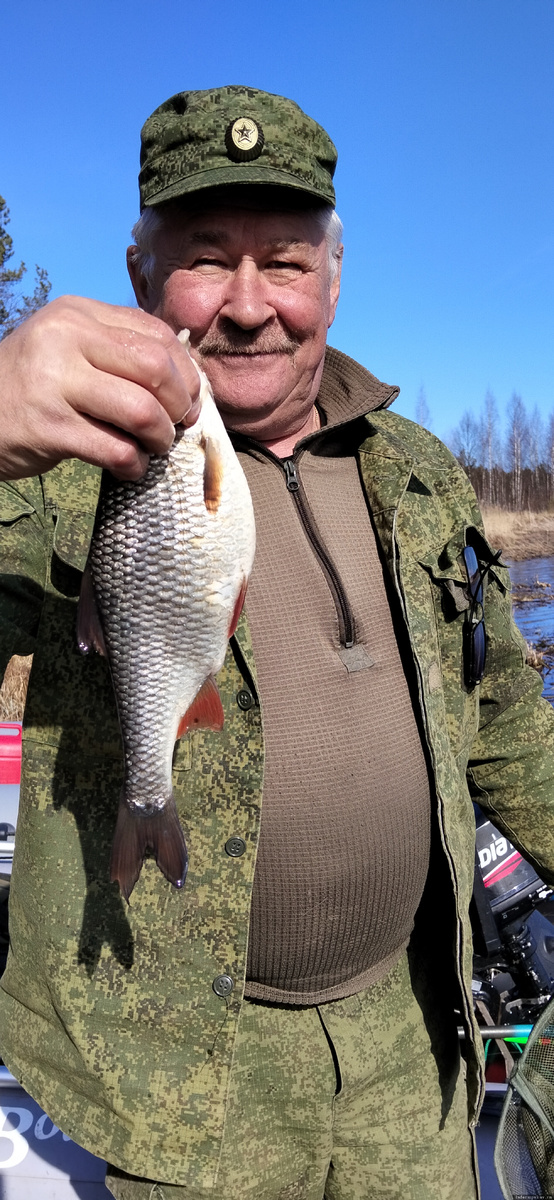 Эх, таких бы плоток, да побольше…