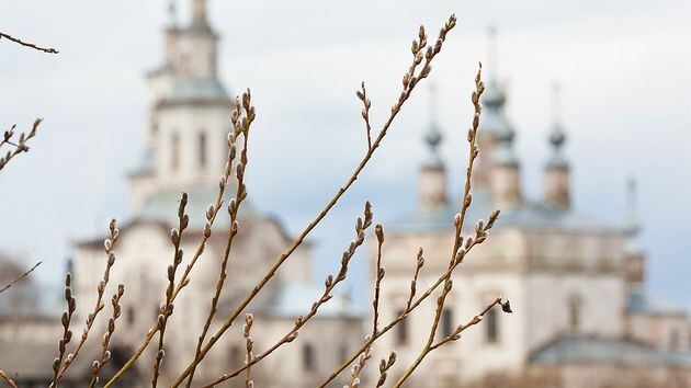 Похолодает на Вербное, а тепло вернётся на Пасху