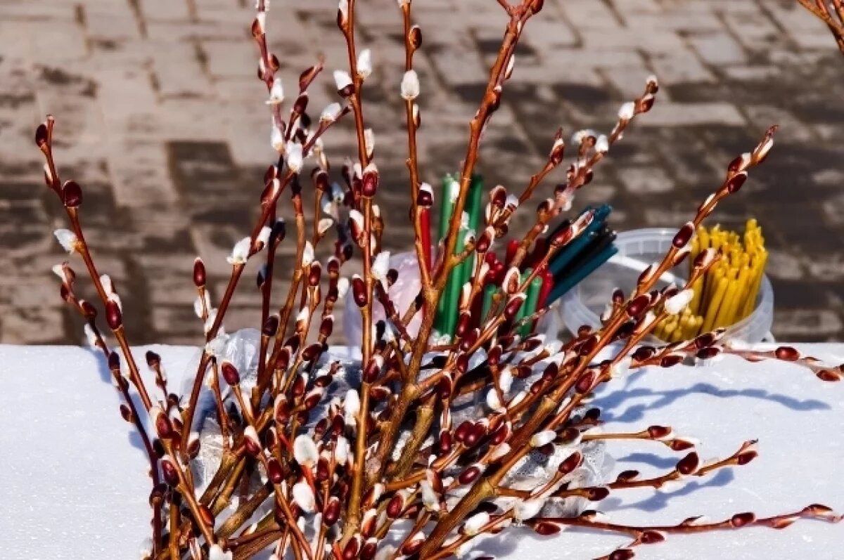    Новосибирцам рассказали о значимости вербы в Вербное воскресенье