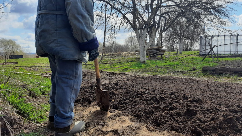    Фото: ПроГород