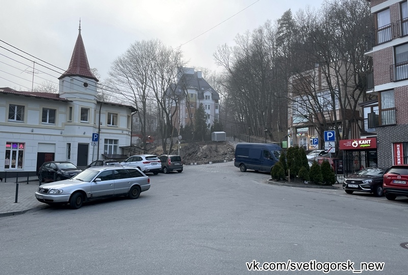 Останется ли в курортном Светлогорске фонтан с лягушками?