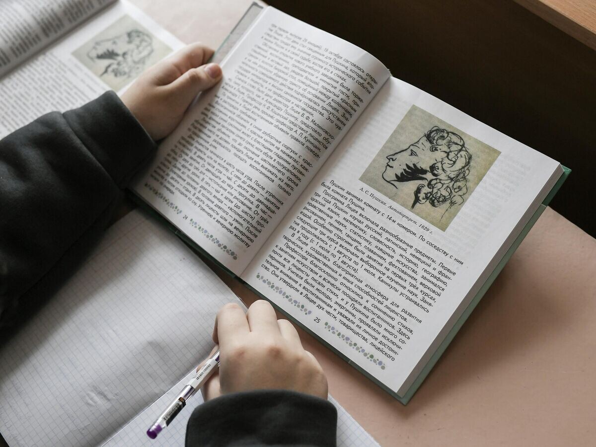    Ученик во время урока в средней общеобразовательной школе | © РИА Новости / Константин Михальчевский