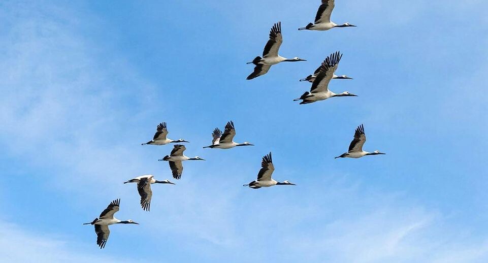    REGIONS/Сгенерировано нейросетью