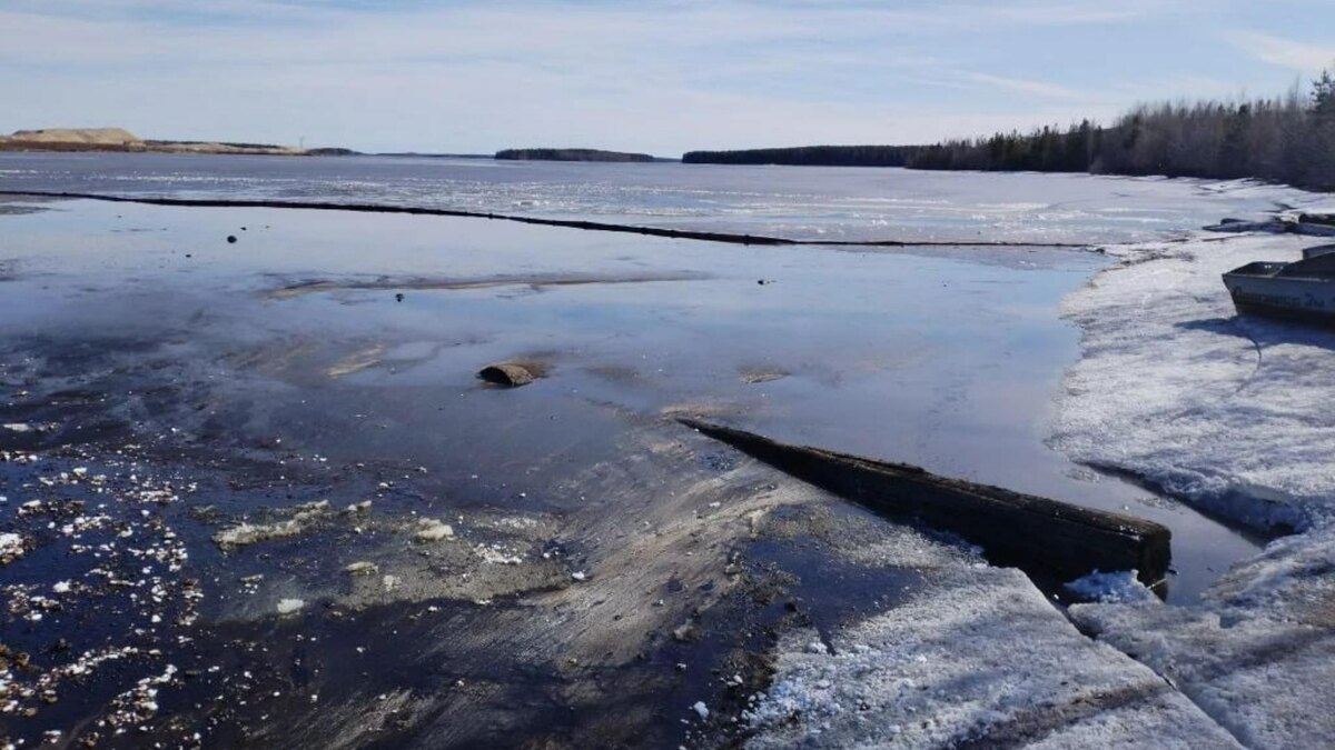    Фото: t.me/isvidskaya