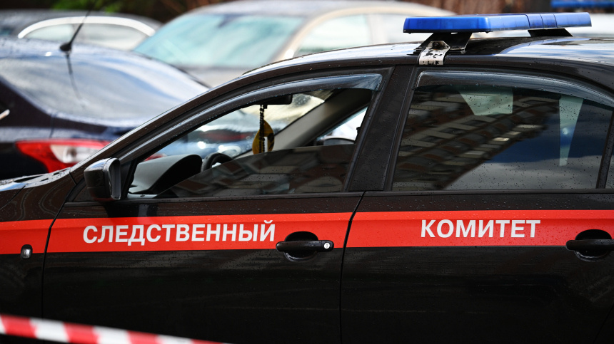    Фото: www.globallookpress.com/Максим Блинов