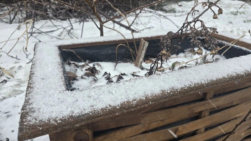    Фото: «СахПресс» Наталья Краснова