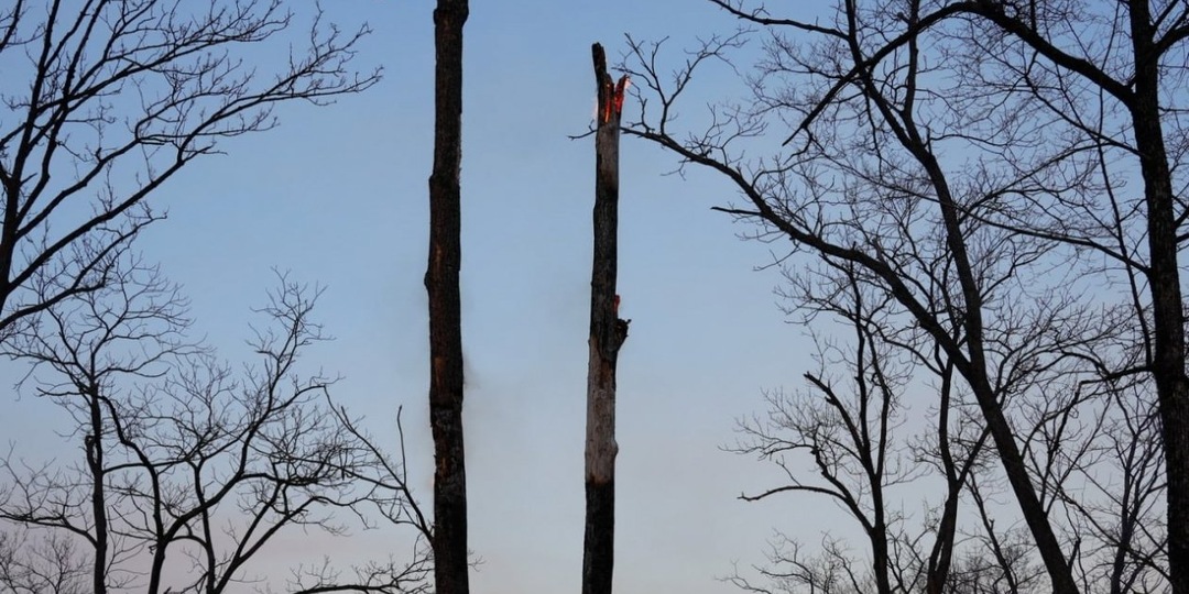Дождь не спас: более 200 гектаров земли выгорело в Уссурийском округе