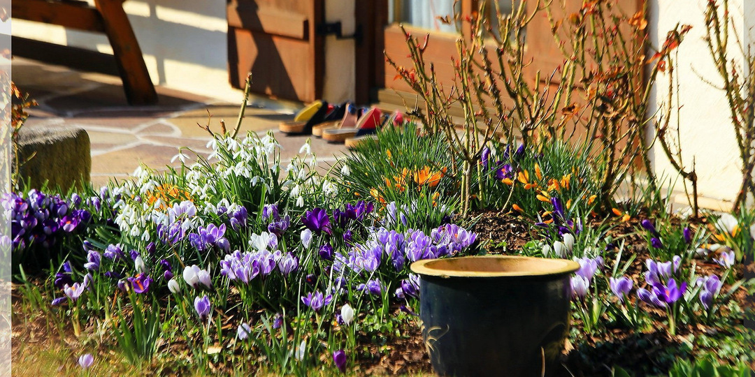 Старт дачного сезона - проверь себя: самые первые работы в саду и огороде, которые нужно успеть провести ранней весной