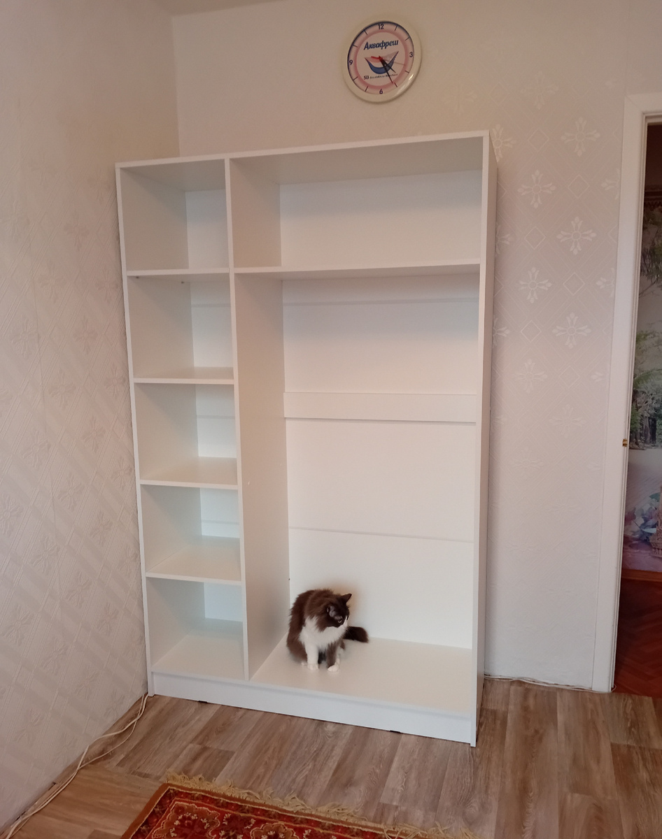 Новый шкаф в первый день сборки. Котик Даник интересуется, что у нас получилось.