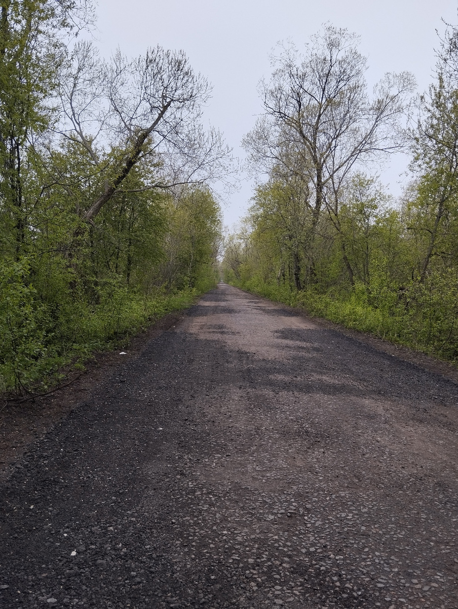 Дорога от Шанца до форта Риф через заповедник