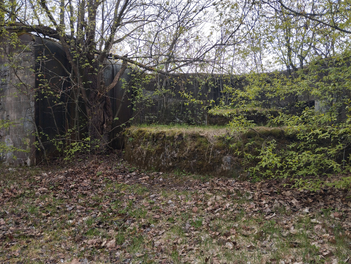 Форт "Шанц" (о нём я рассказывала в предыдущей части, кому интересно - жмите ссылку в конце статьи)