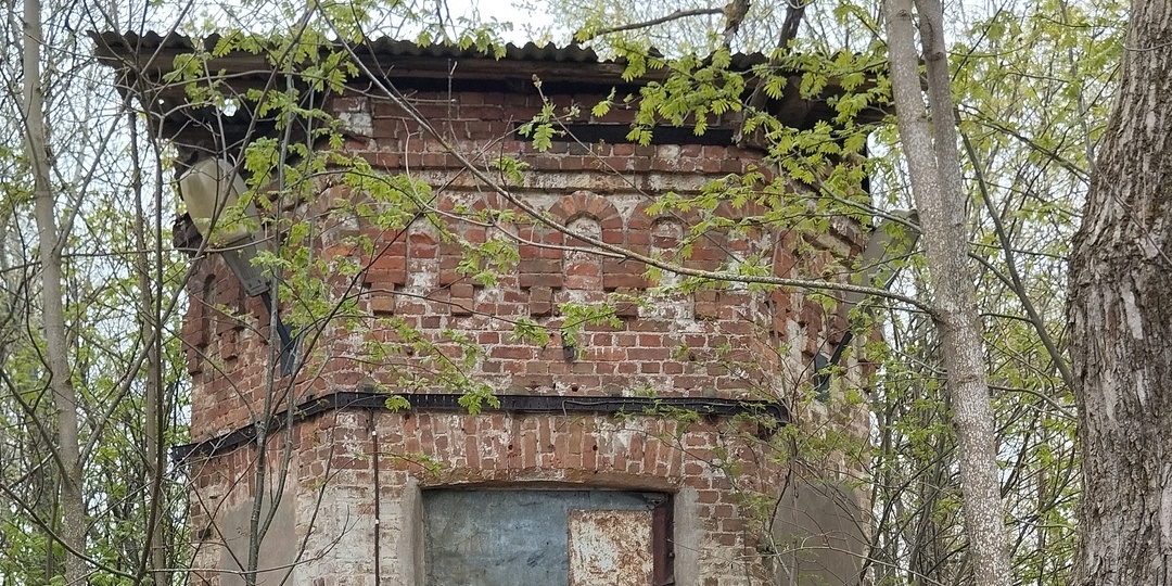 Туристы на острове Котлин. Отправились пешком на форт Риф. Пока шли, нашли интересные развалины на берегу Финского залива