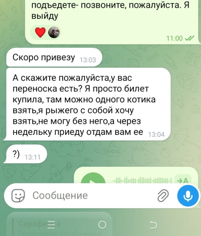Скриншот нашей переписки. Здесь упоминается переноска. И обещание, вернуть через неделю. 
