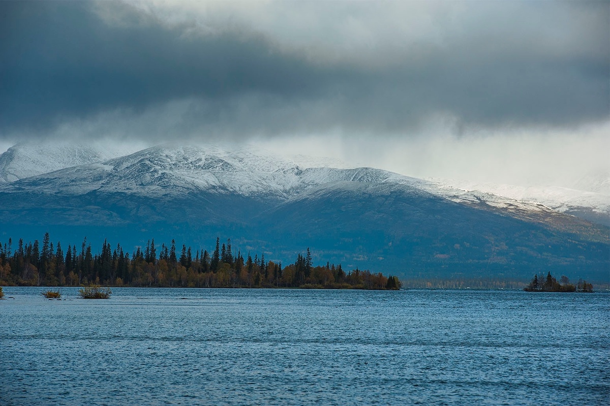 Фото Виталий Зайцев