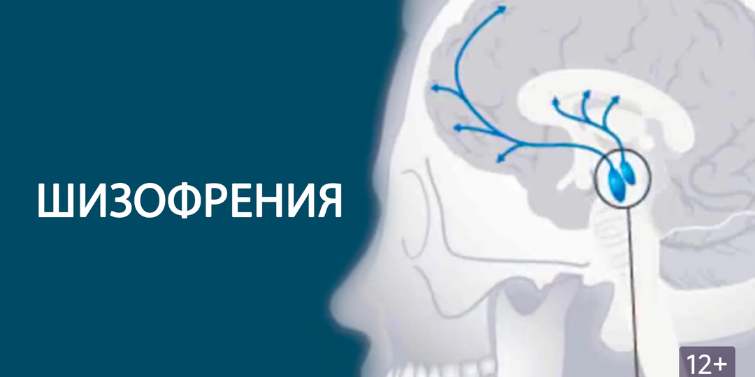 Про шизофреника
