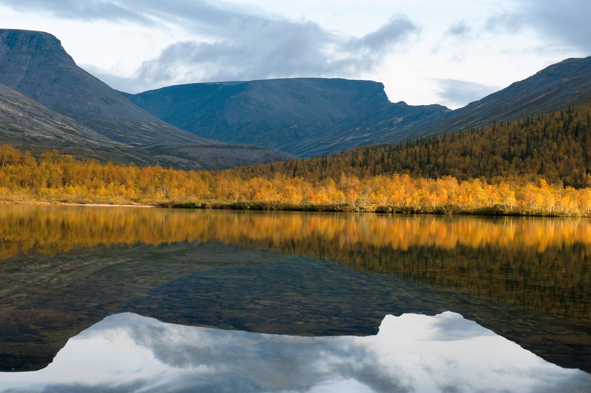 Фото Виталий Зайцев