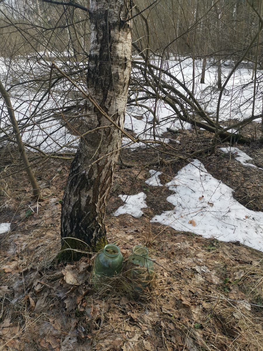  Фото Анны Агрецкой. Прошлогодние банки