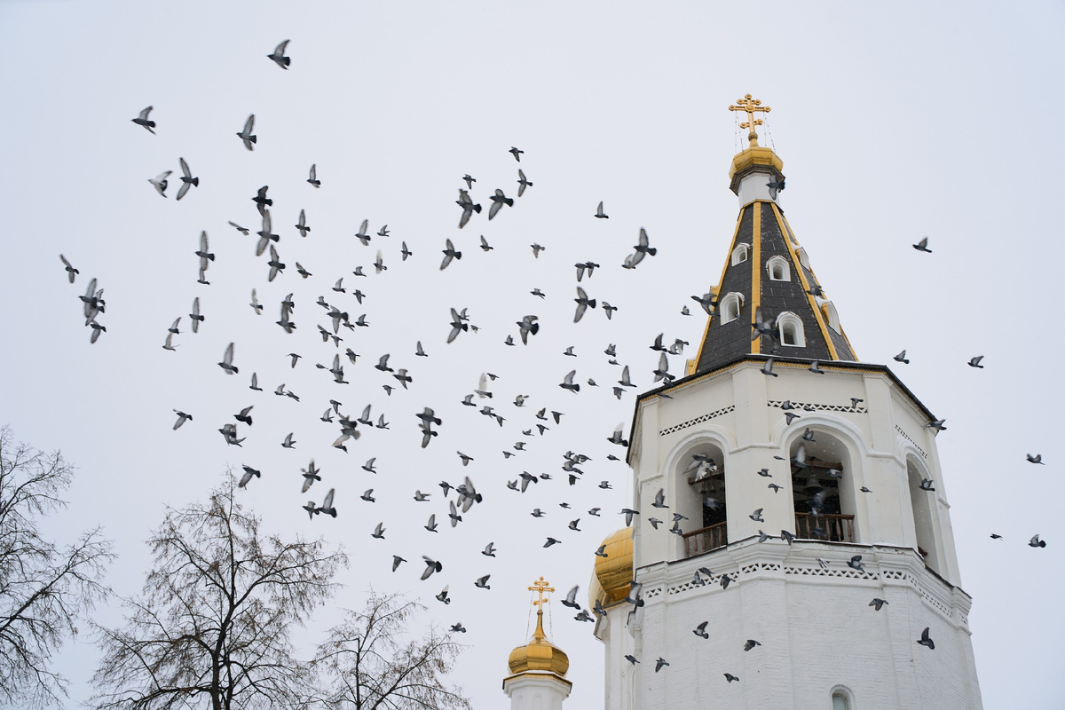 фото Станислава Баева
