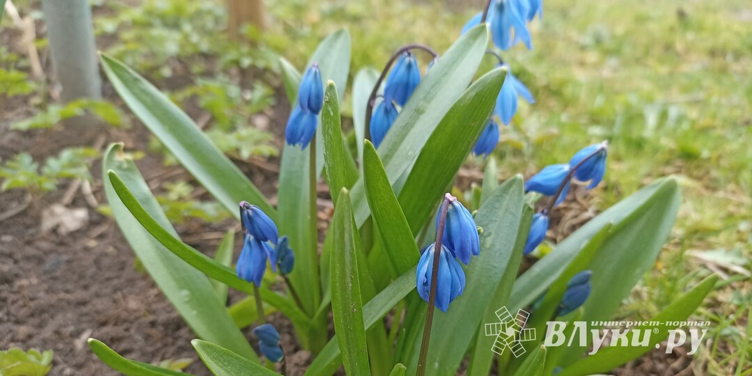 Прогноз погоды в Великих Луках на 5 апреля