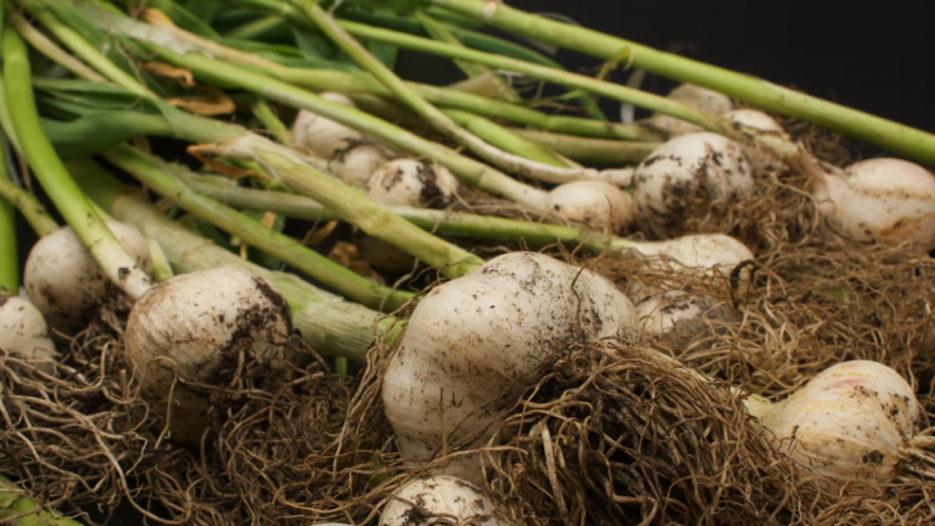    Фото с сайта unsplash.com