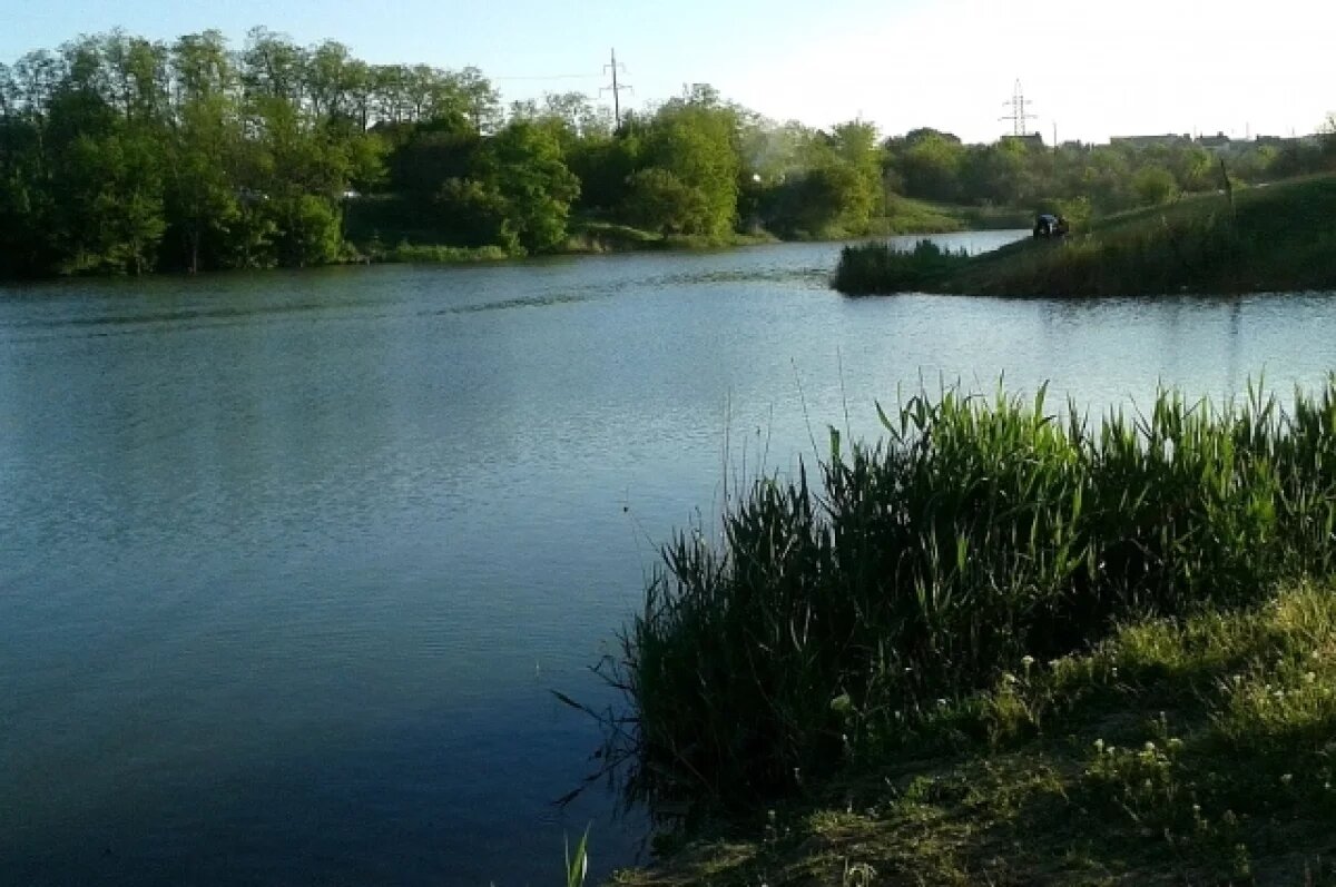    В реках Ростовской области становится больше морской рыбы