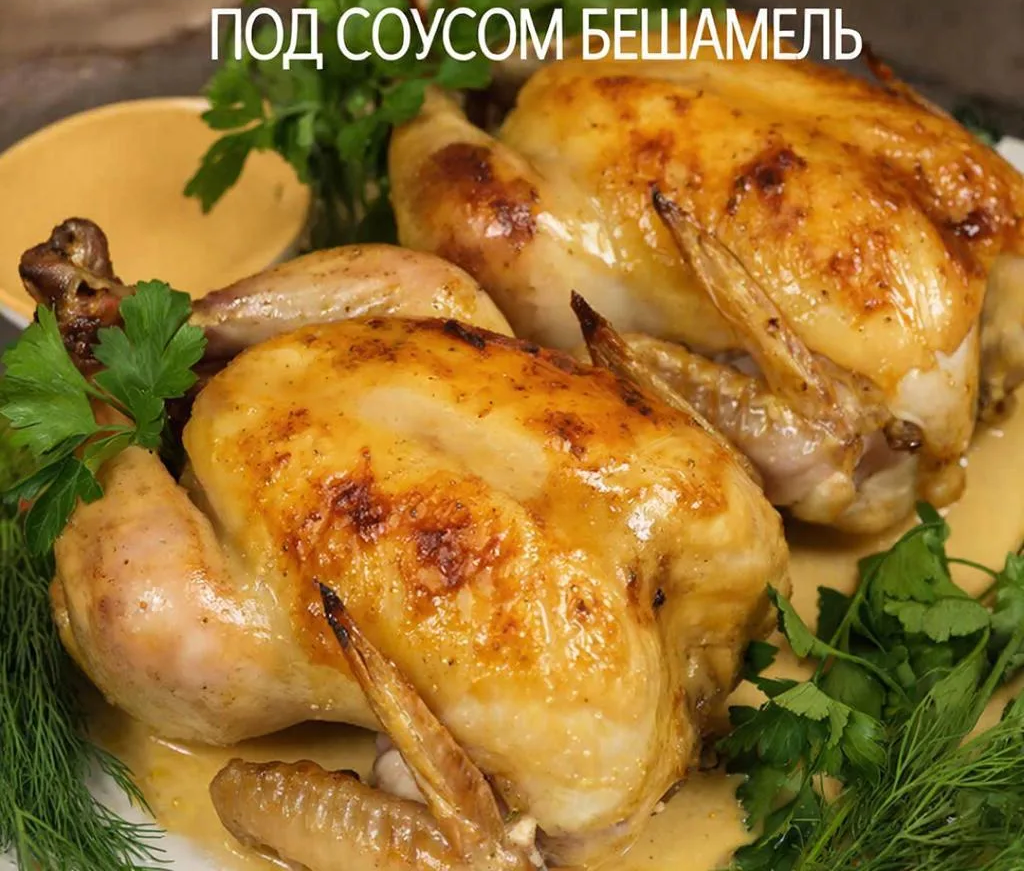 #цыплята #бешамель #рецепт #домашняякухня #мясо
