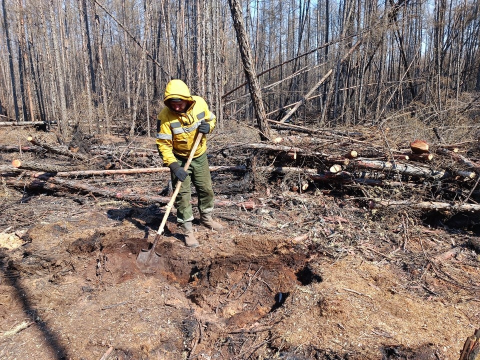    Аргаяшский округ первым в Челябинской области ввел особый противопожарный режим Наталья ВАРСЕГОВА