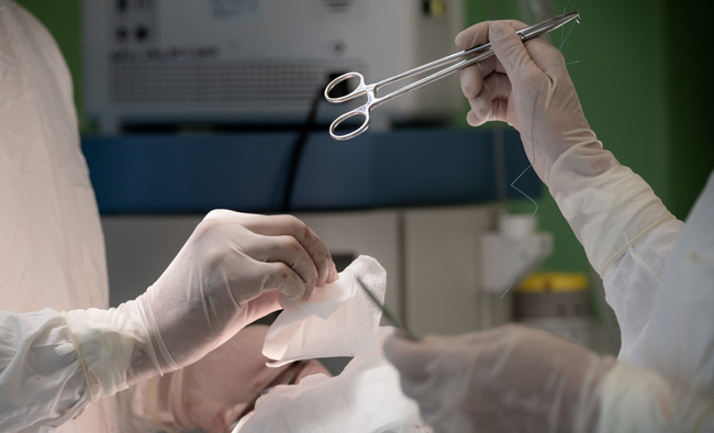 Фото: Людмила Ковалева, из архива редакции