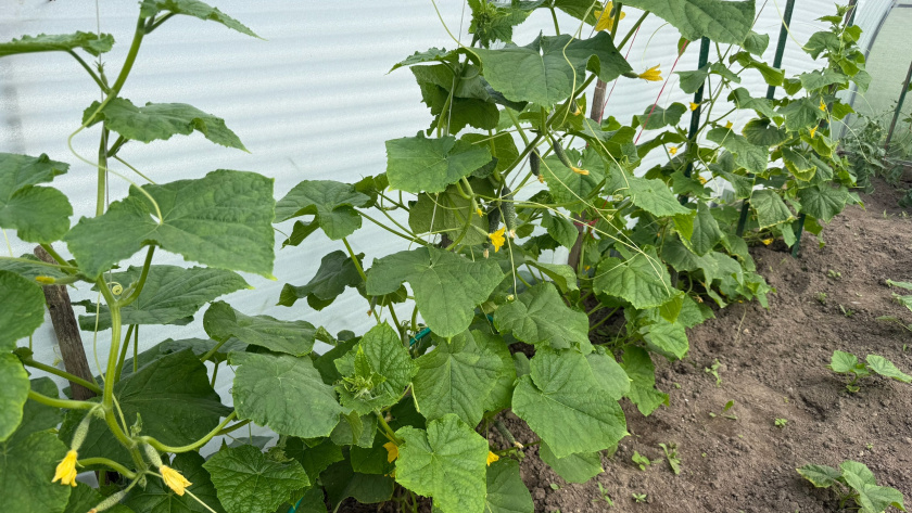    Фото из архива редакции