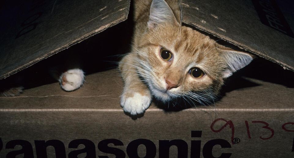    Larry West/FLPA / www.globallookpress.com