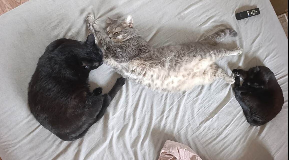 Такая жизнь не для меня. 