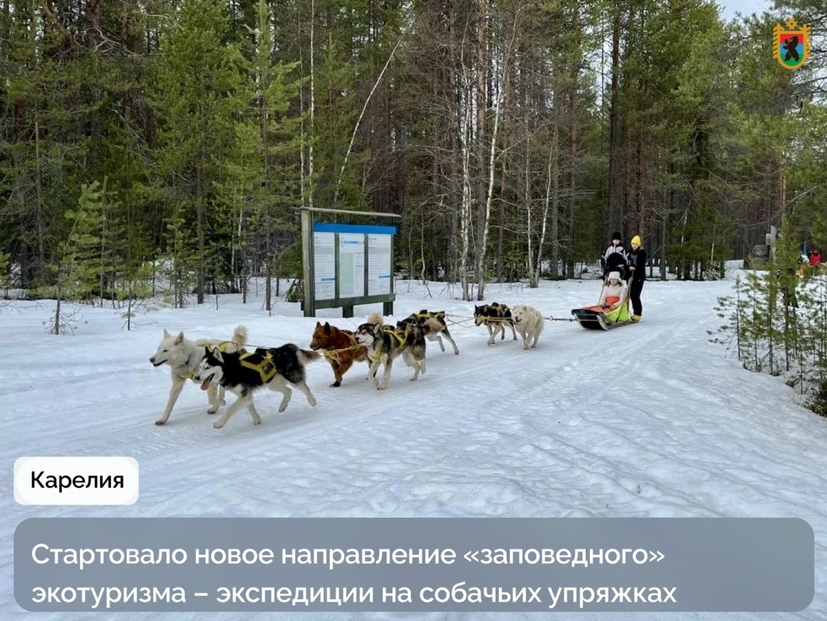    фото: https://vk.com/gov_karelia_ru