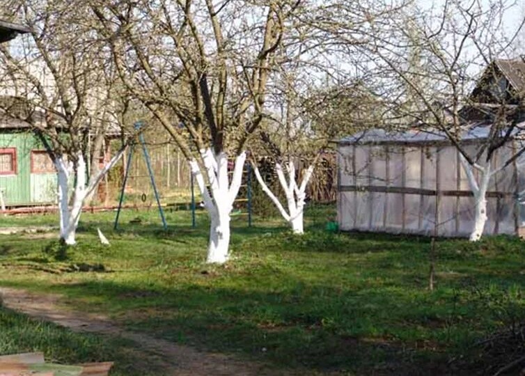 До Пасхи осталось шесть дней: что важно успеть сделать на даче и в доме?