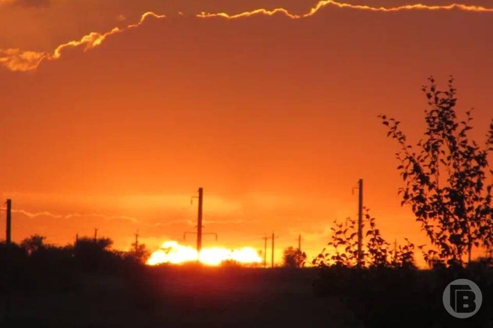    Фото: "Городские вести"